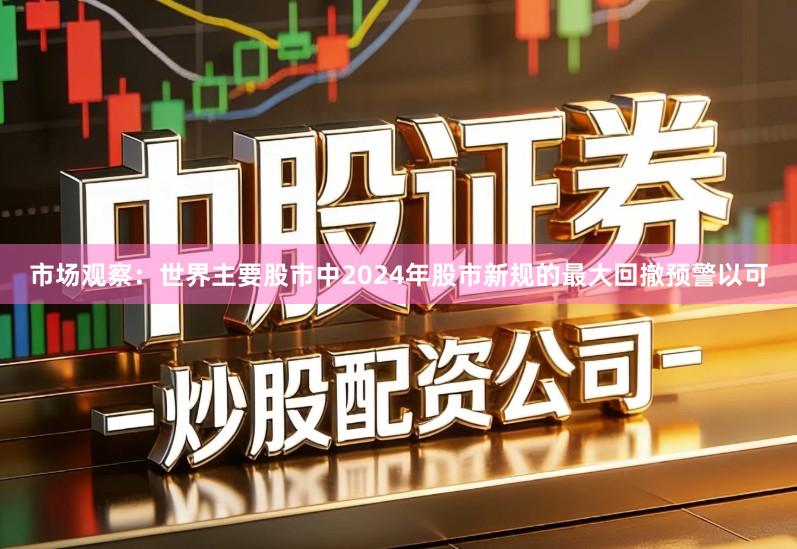 市场观察：世界主要股市中2024年股市新规的最大回撤预警以可