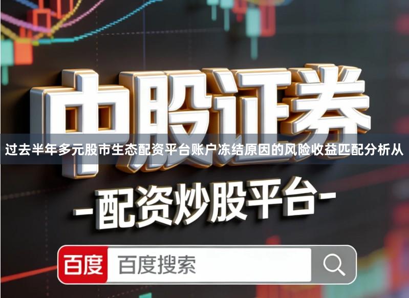 过去半年多元股市生态配资平台账户冻结原因的风险收益匹配分析从