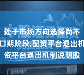 处于市场方向选择尚不清晰的窗口期阶段,配资平台退出机制说明股