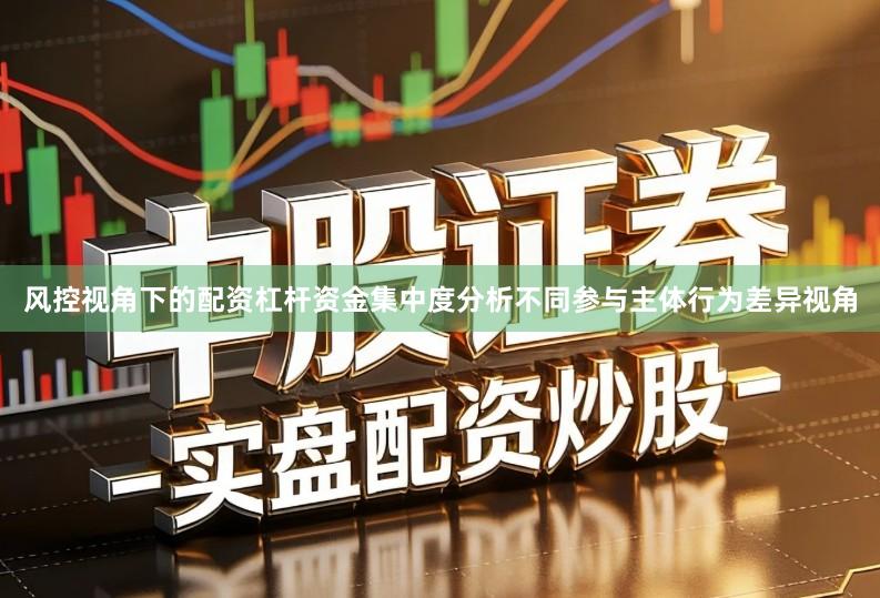 风控视角下的配资杠杆资金集中度分析不同参与主体行为差异视角