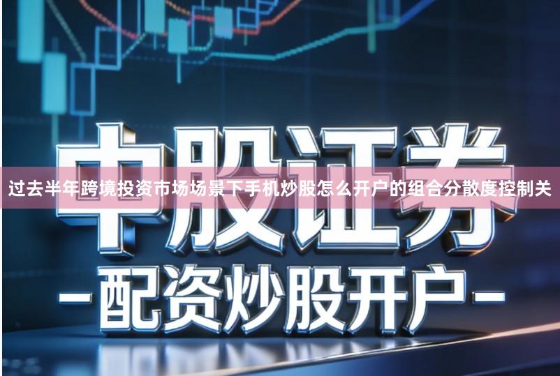 过去半年跨境投资市场场景下手机炒股怎么开户的组合分散度控制关