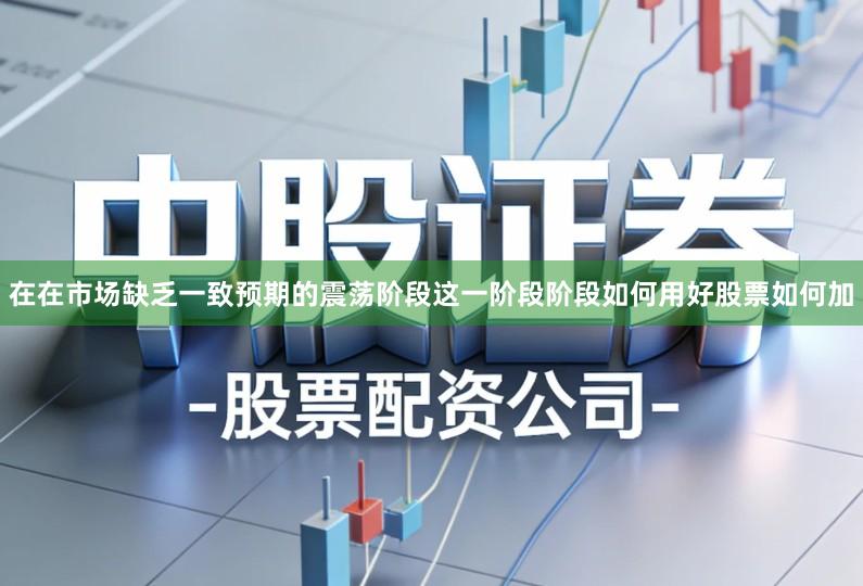 在在市场缺乏一致预期的震荡阶段这一阶段阶段如何用好股票如何加