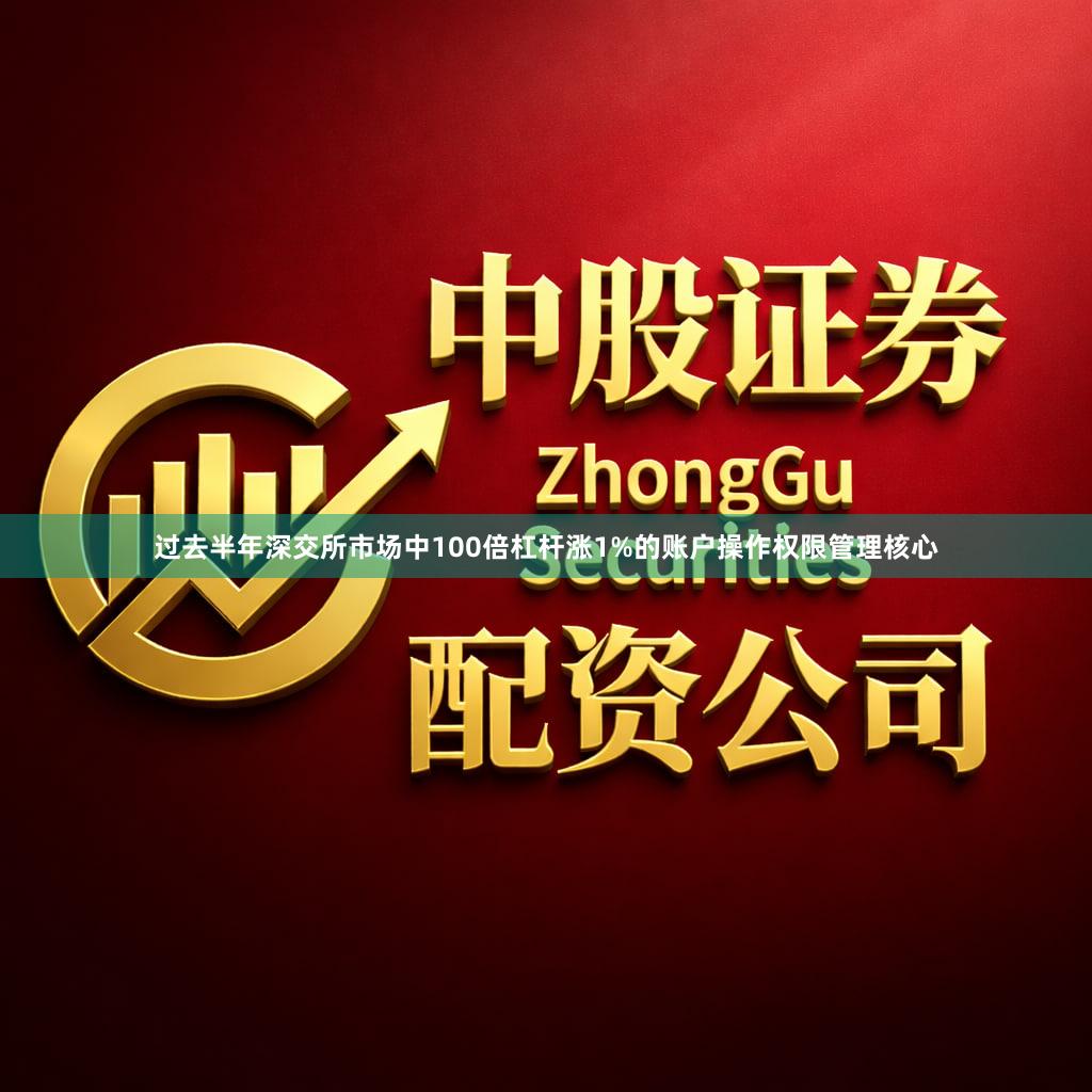 过去半年深交所市场中100倍杠杆涨1%的账户操作权限管理核心