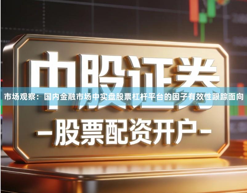 市场观察：国内金融市场中实盘股票杠杆平台的因子有效性跟踪面向
